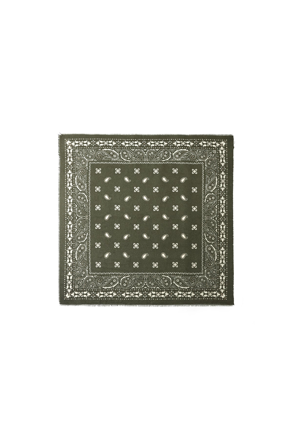 Winter scarves Paisley Pattern Casual Polyester Daily Accessories