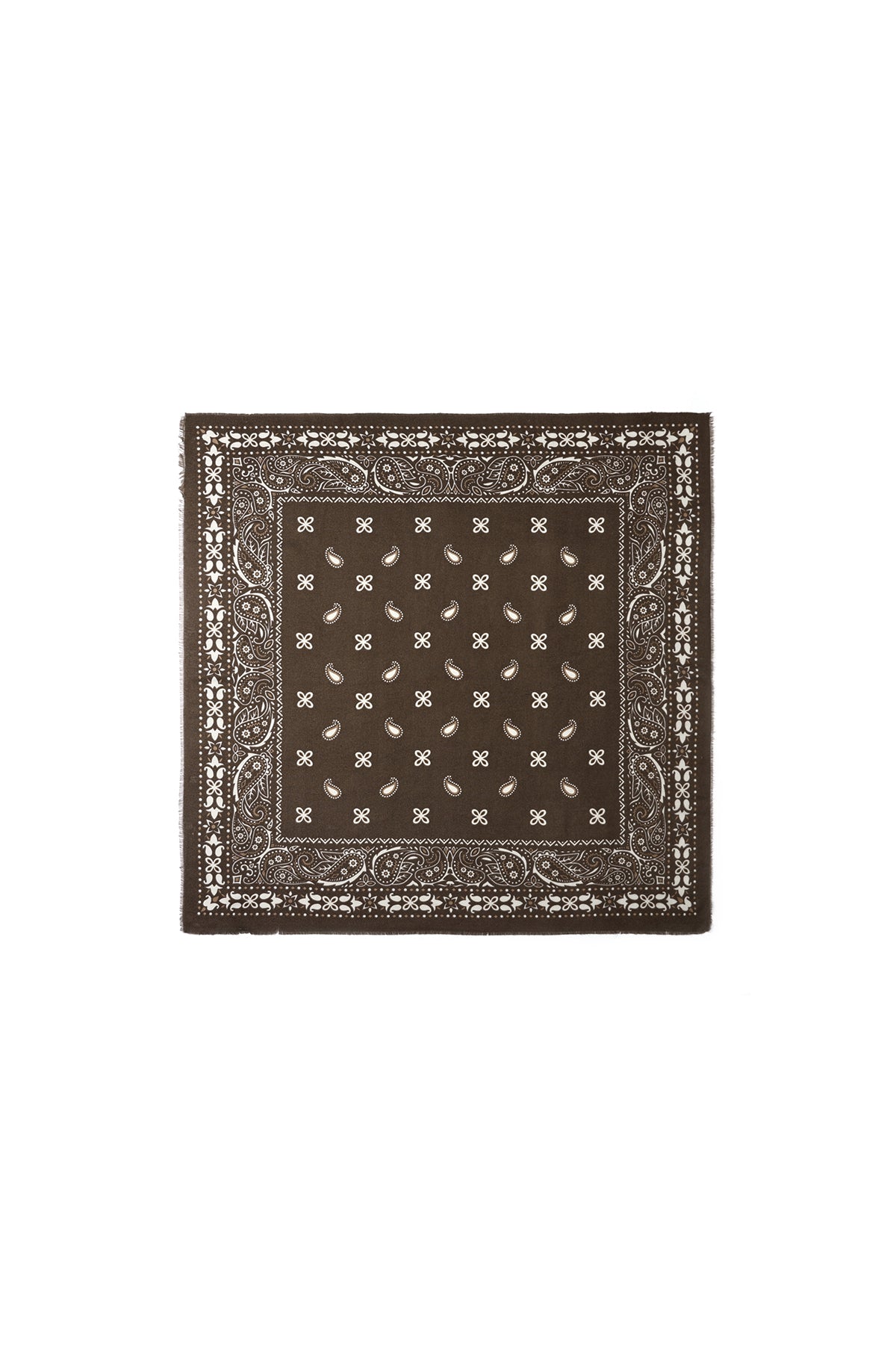 Winter scarves Paisley Pattern Casual Polyester Daily Accessories