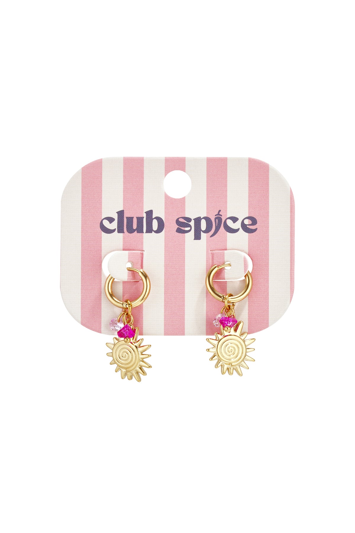 Stainless Steel Drop Earrings sun Casual Daily Simple Series Women's jewelry